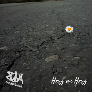 Cover von Herz an Herz